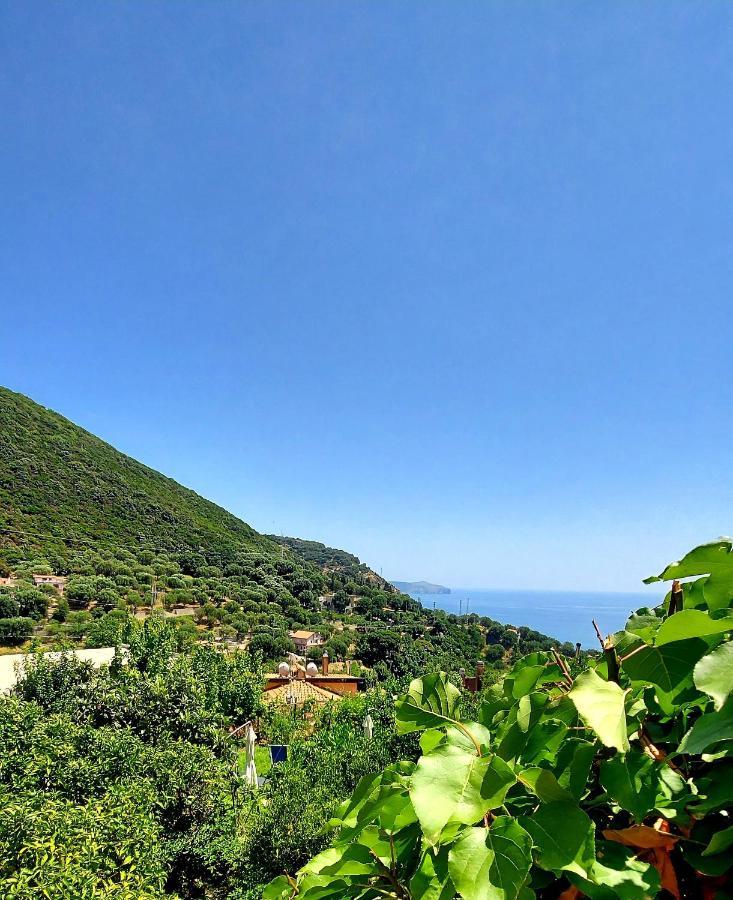 La Casa Sul Blu Albergo Diffuso بيسكيوتا المظهر الخارجي الصورة