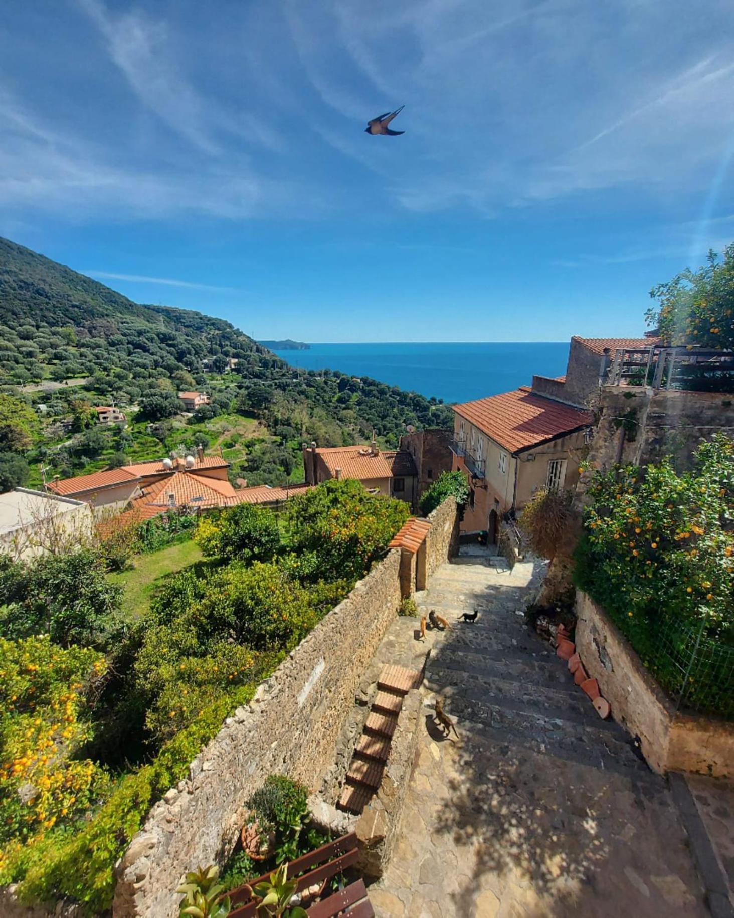 La Casa Sul Blu Albergo Diffuso بيسكيوتا المظهر الخارجي الصورة
