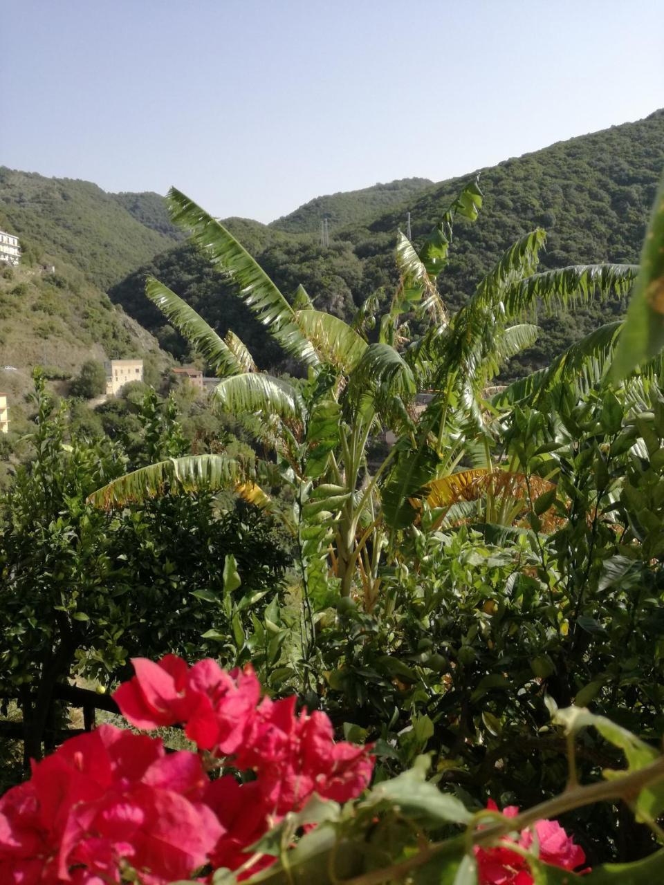 La Casa Sul Blu Albergo Diffuso بيسكيوتا المظهر الخارجي الصورة